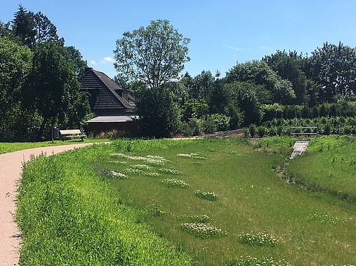 Bild vom Regenwasserweg in Wedel.