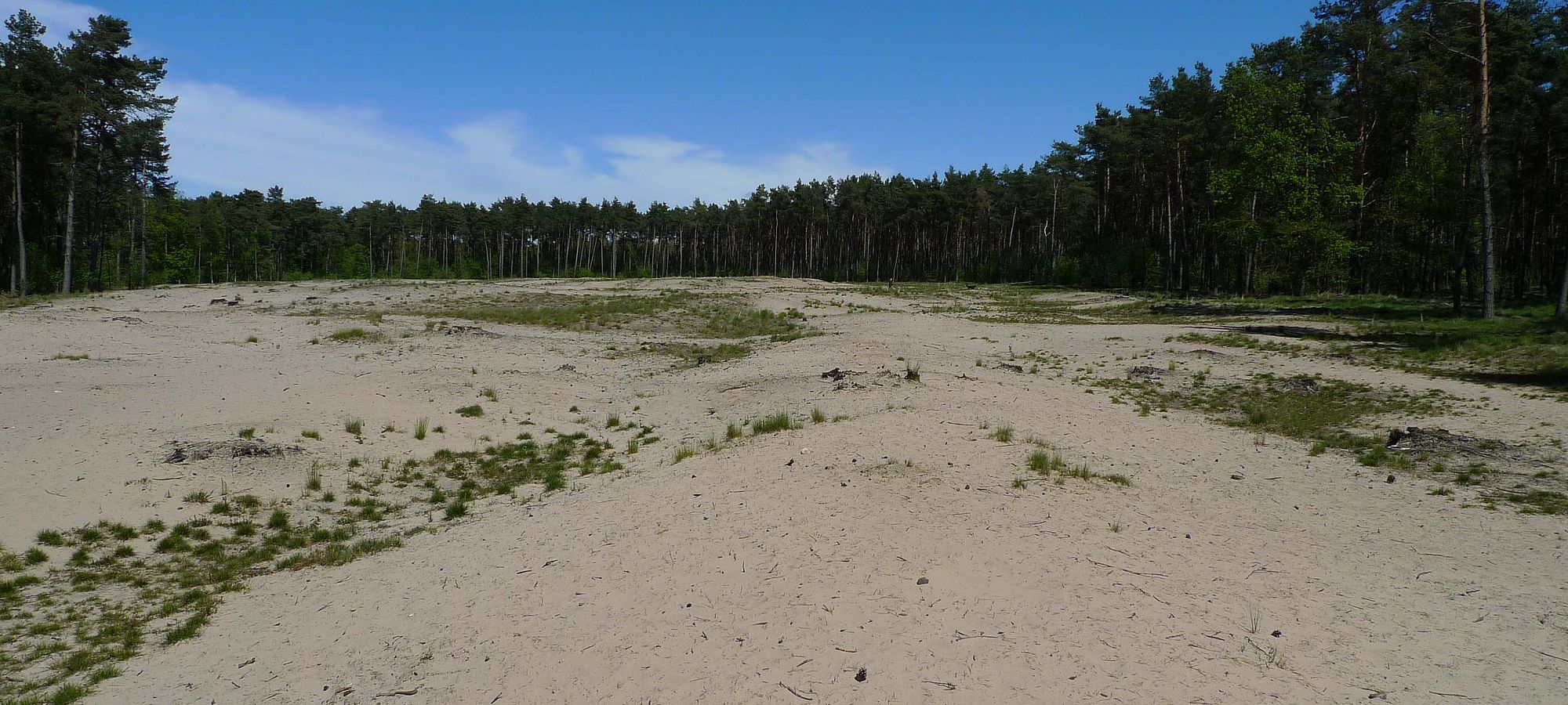 Holmer Sandberge
