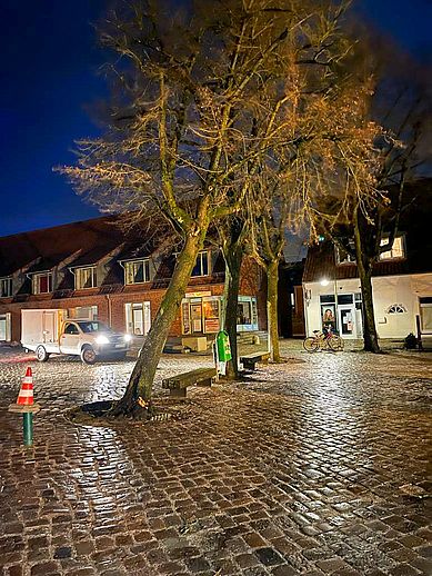 Die Linde hatte sich in den Zweigen des Nachbarbaumes verfangen. Personen oder der Roland kamen bnicht zu Schaden. Foto: Stadt Wedel/Bauhof