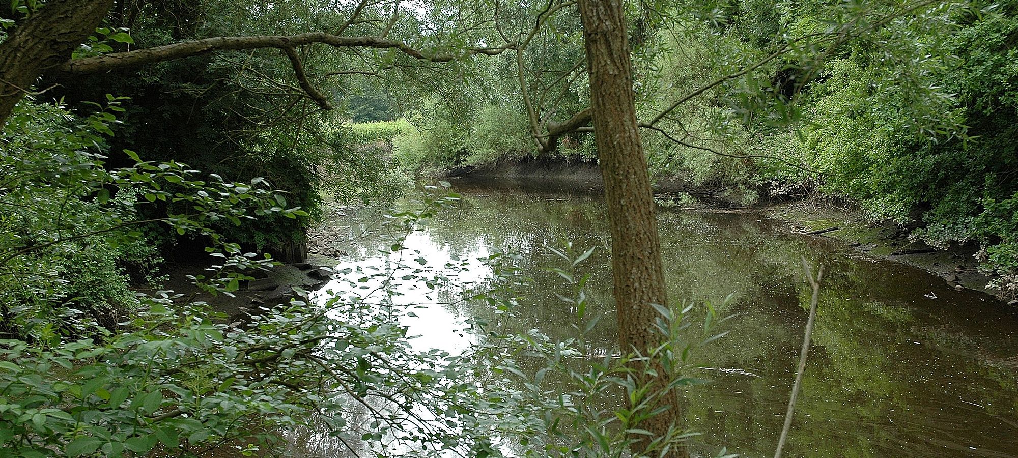 Wassermühle Au