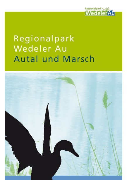 Silhouette einer Ente