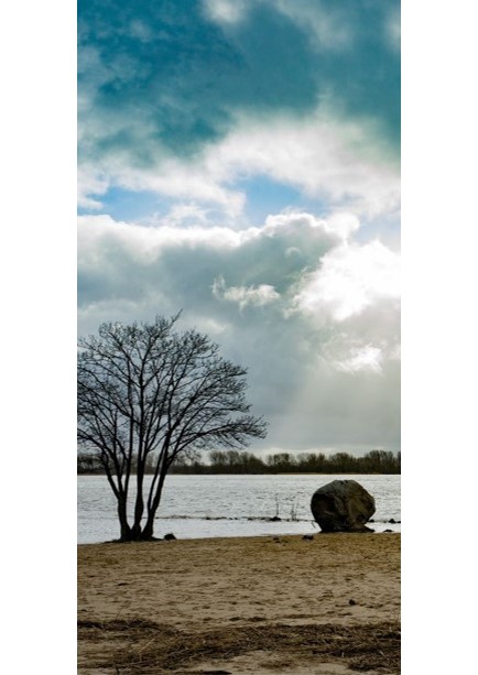 Foto vom Findling an der Elbe