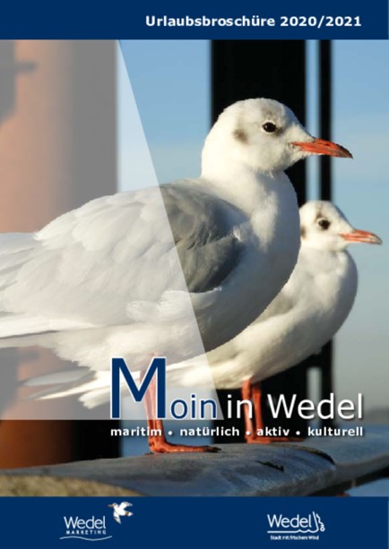 Titelbild Urlaubsbroschüre Moin in Wedel, Möwe