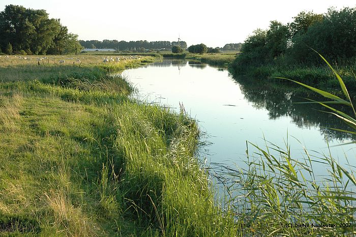 Regionalpark Wedeler Au