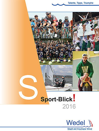 Sport-Blick 2016
