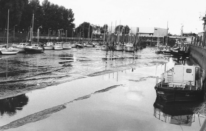 Sturmfluten und Versandungen – Der Schulauer Hafen 1962 - 1989